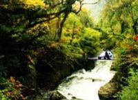 龍吟峽旅遊風景區