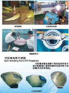 空泡腐蝕 空泡腐蝕