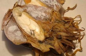 墨魚乾燒海帶結