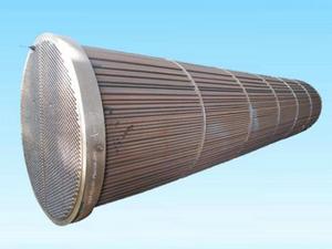 管束換熱器 管束換熱器