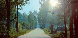 河北省邯鄲市邯鄲縣黃粱夢鎮袁莊村 河北省邯鄲市邯鄲縣黃粱夢鎮袁莊村