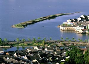 蘆汀宿雁 蘆汀宿雁