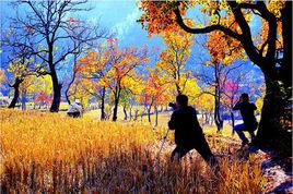 聖人堂村 聖人堂村