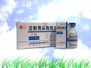 山東魯抗醫藥股份有限公司