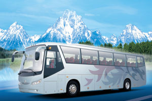 寶路汽車 寶路汽車