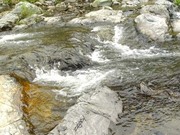 芝山[福建省漳州市紫芝山的簡稱]