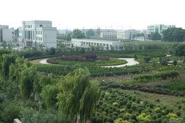 范縣新區 范縣新區