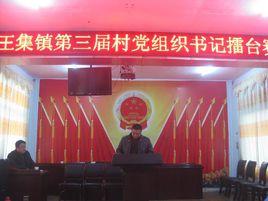 王集鎮[安徽省界首市王集鎮]