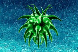 微生物[個體難以用肉眼觀察的一切微小生物]