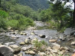 山溪占11 山溪占11