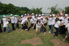 大樹與松鼠 大樹與松鼠