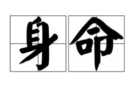 身命[身家性命]