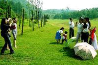 都溪林場 都溪林場