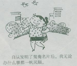 鴛鴦名片 鴛鴦名片