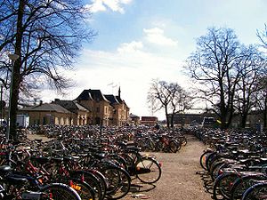（圖）和其它大學城一樣，腳踏車是城市的主要交通工具。