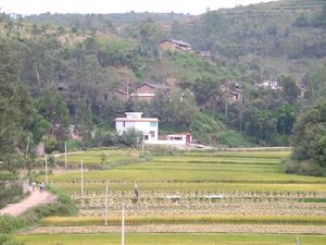 蘇子沖村 蘇子沖村