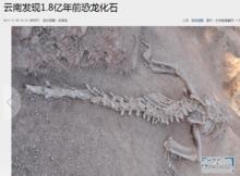 發掘的恐龍化石