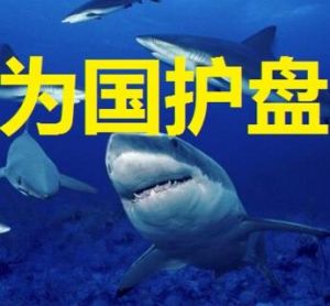 為國護盤 為國護盤