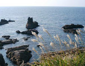 天草下田溫泉 天草下田溫泉