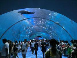 重慶極地海洋世界 重慶極地海洋世界