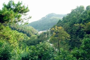 三門江國家森林公園