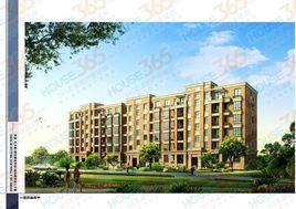 金都檀宮 金都檀宮