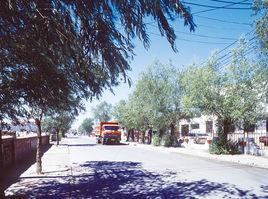 喇嘛甸鎮[吉林省梨樹縣下轄鎮]