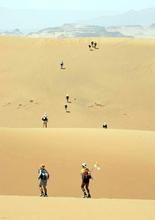 撒哈拉沙漠馬拉松賽 