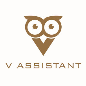 V助理 V助理
