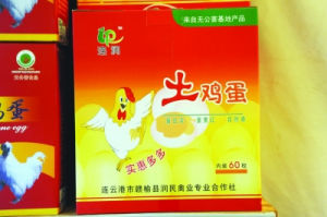 概念雞蛋 概念雞蛋