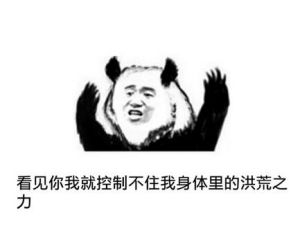 洪荒之力 洪荒之力