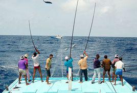 海竿釣法 海竿釣法