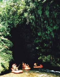 野洞河鄉 野洞河鄉