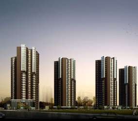 海星城市星鑽 海星城市星鑽