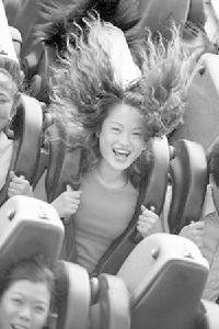 上海市大型遊樂設施運營安全管理辦法