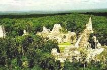 瑪雅文明