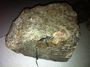 居裡面反演 居裡面反演