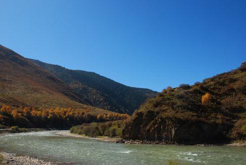 麻爾柯河青海省班瑪縣瑪柯河林場段