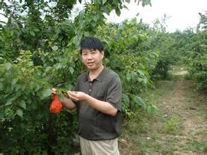 劉玉升[山東農業大學教授]