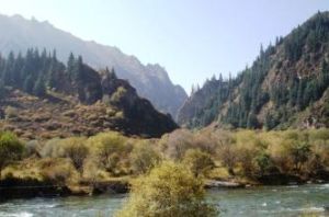 大通北川河源區國家級自然保護區 大通北川河源區國家級自然保護區