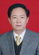 盧峰[英山縣委常委]