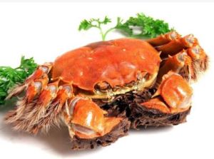 胡椒蘿蔔凌蟹 胡椒蘿蔔凌蟹