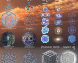 生命基礎 生命基礎