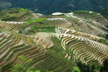 龍勝龍脊梯田景區