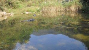 河北天台山景區 河北天台山景區