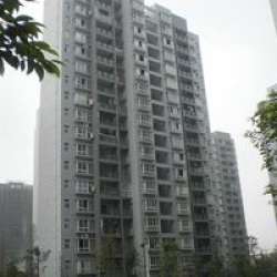 紅獅大道 紅獅大道