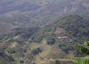 倉房箐自然村 倉房箐自然村