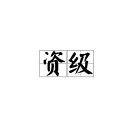資級 資級
