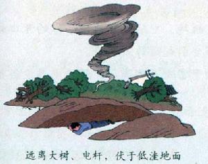 龍捲風