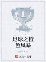 足球之橙色風暴 足球之橙色風暴
